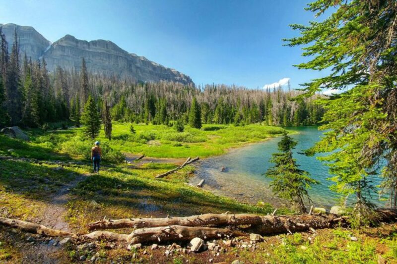 Scenic Hiking at CM Ranch in Wyoming