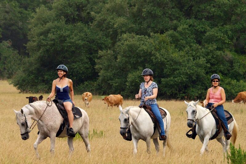 Horseback Riding at Blisswood Bed & Breakfast in Texas