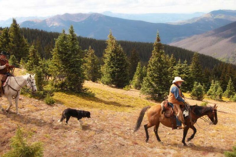 Mountain Trail Riding in the Rocky Mountains at Bar Lazy J Guest Ranch in Colorado