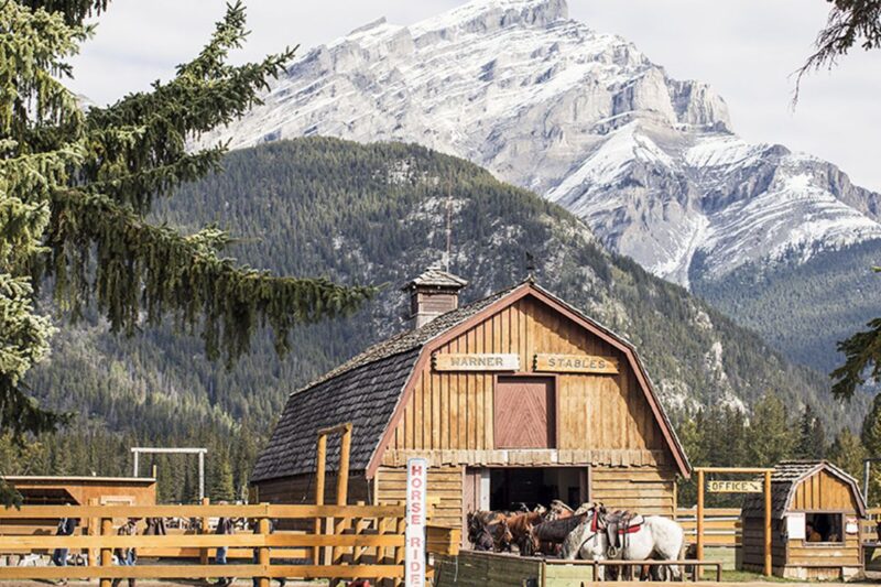 The Horse Barn in the Canadian Rockies at Banff Trail Riders in Banff, British Columbia, CA