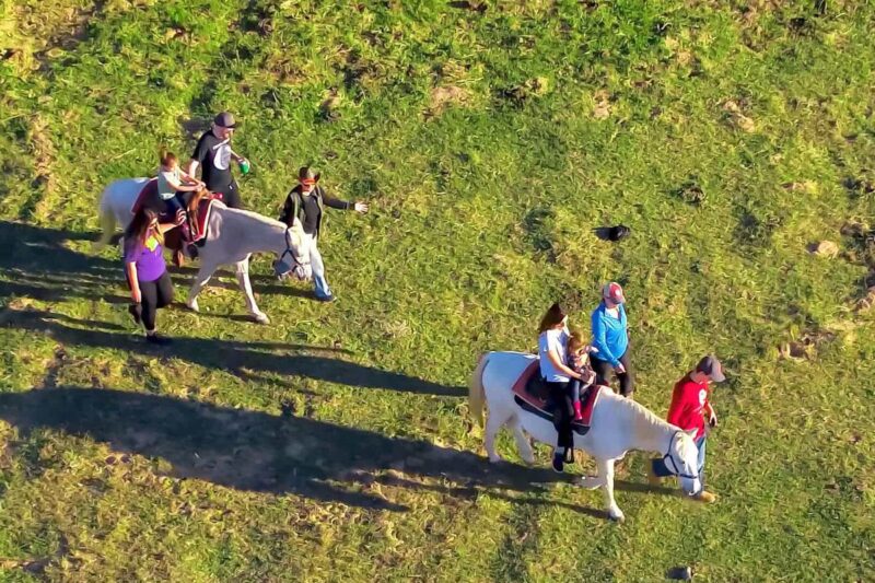 Kids Horseback Riding at Blisswood Bed & Breakfast in Texas