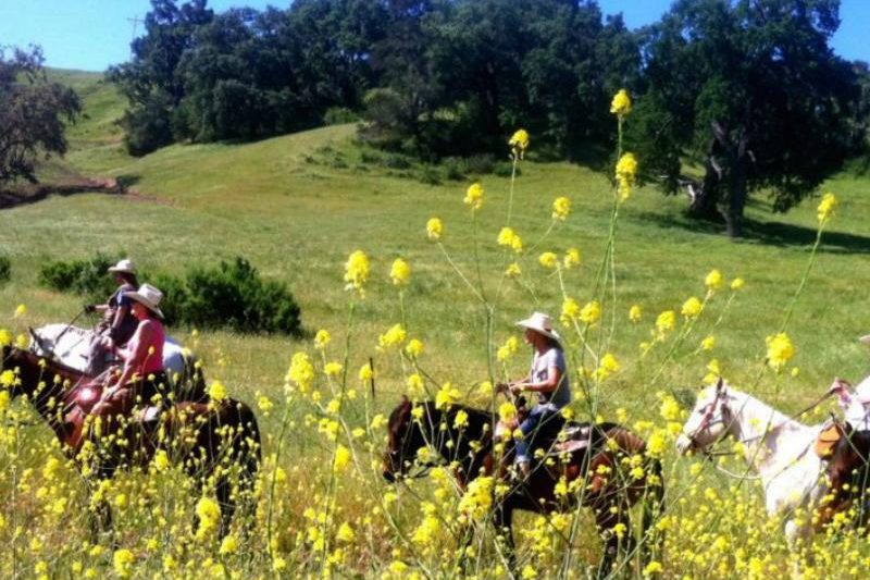 Breathtaking horseback riding at Alisal Ranch in California