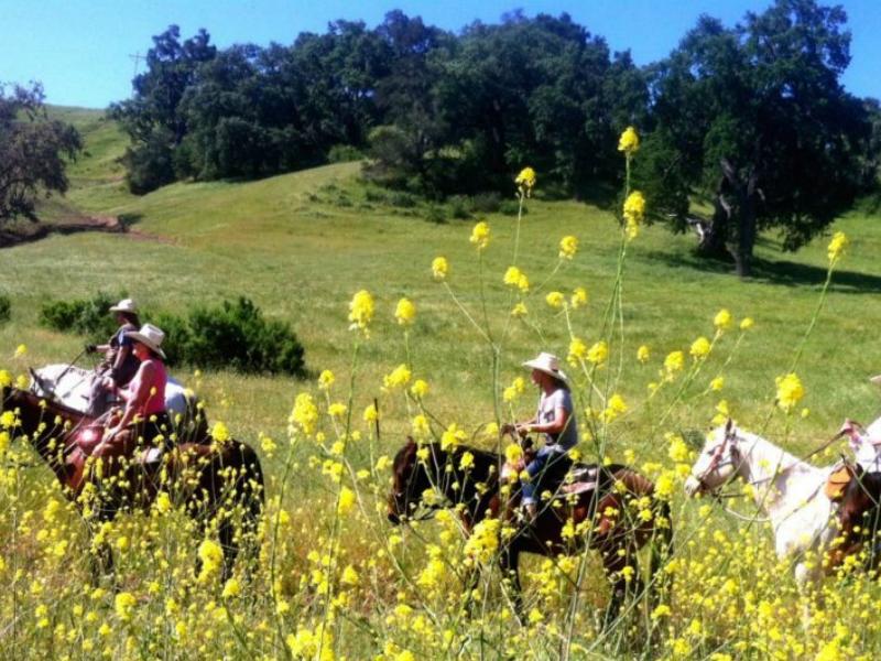 Breathtaking horseback riding at Alisal Ranch in California