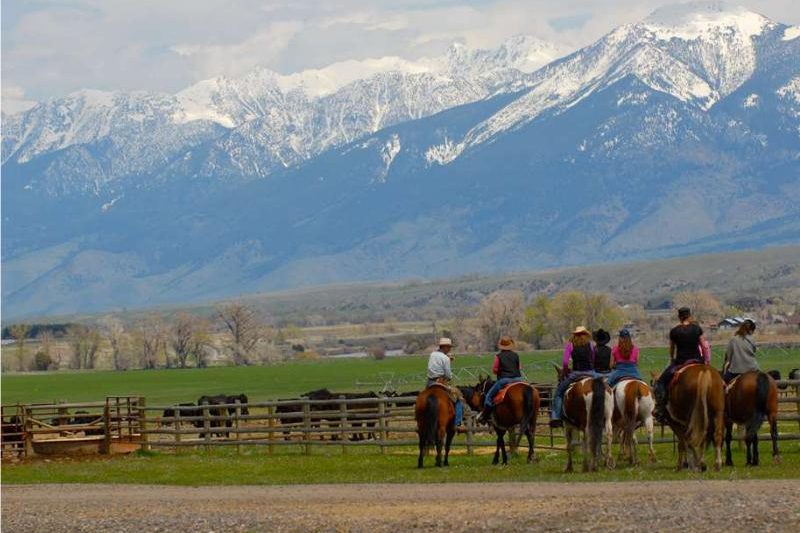 Mountain Sky Guest Ranch