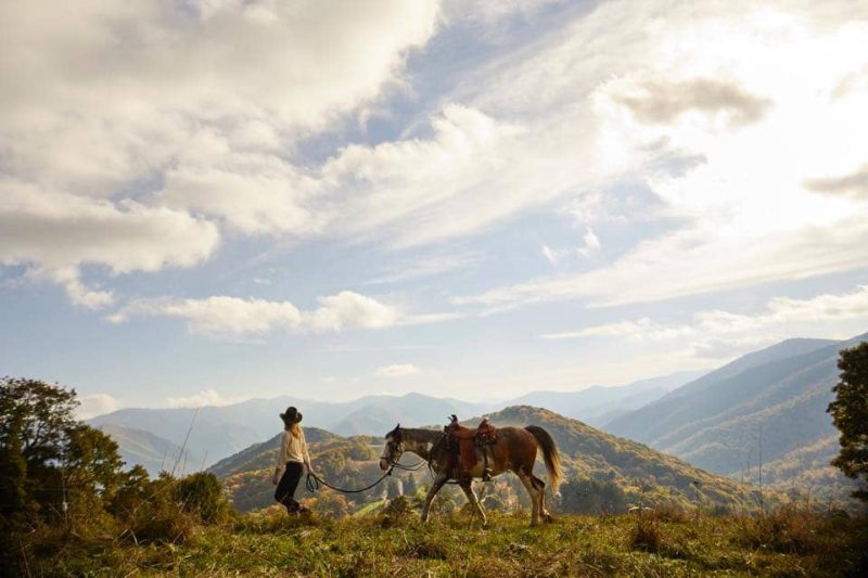 Cataloochee Ranch - NC