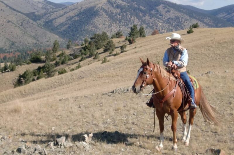 Hidden Hollow Hideaway Cattle & Guest Ranch