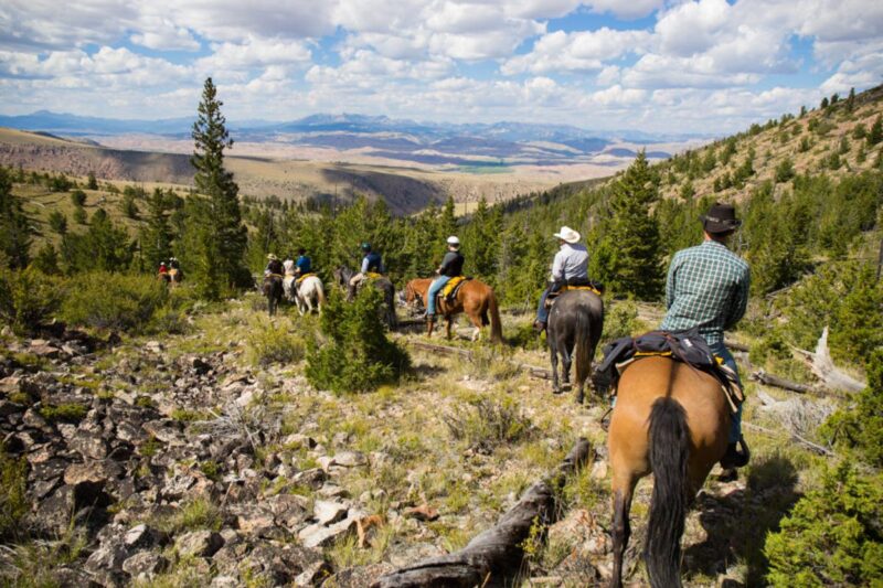 Horseback Riding at CM Ranch in Wyoming