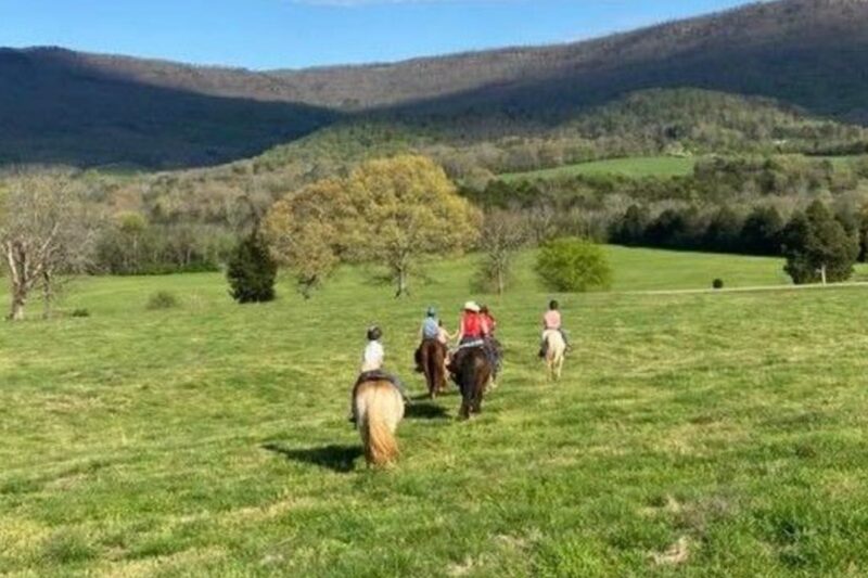 Beautiful Trail Riding at A Tennessee Horse Guest Ranchil