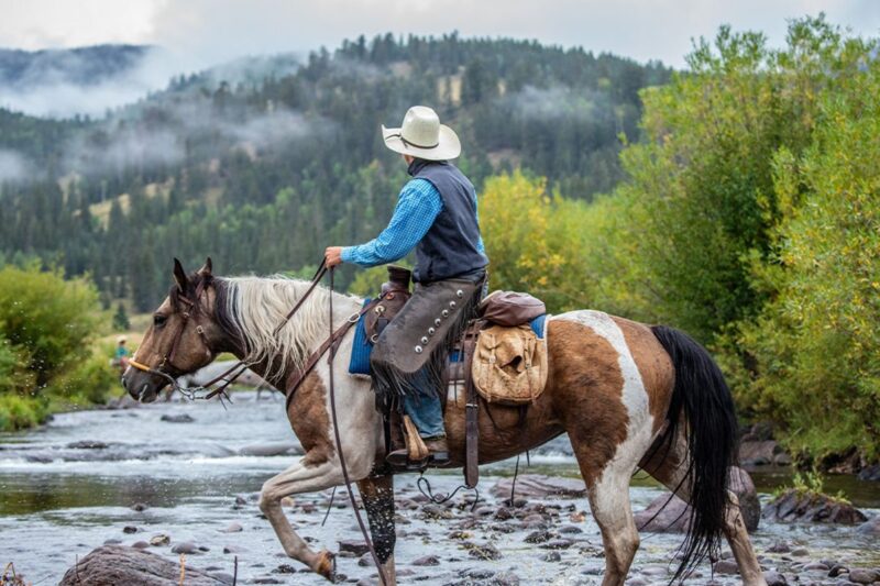 River Horseback Riding at 4UR Ranch in Colorado