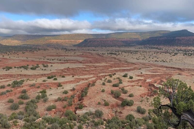 Canyon Madness Ranch in New Mexico, USA