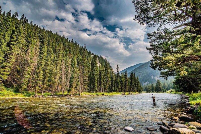 Elkhorn Ranch - MT Flu Fishing