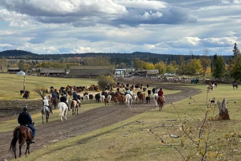 Flying U Ranch in 70 Mile House, BC Canada