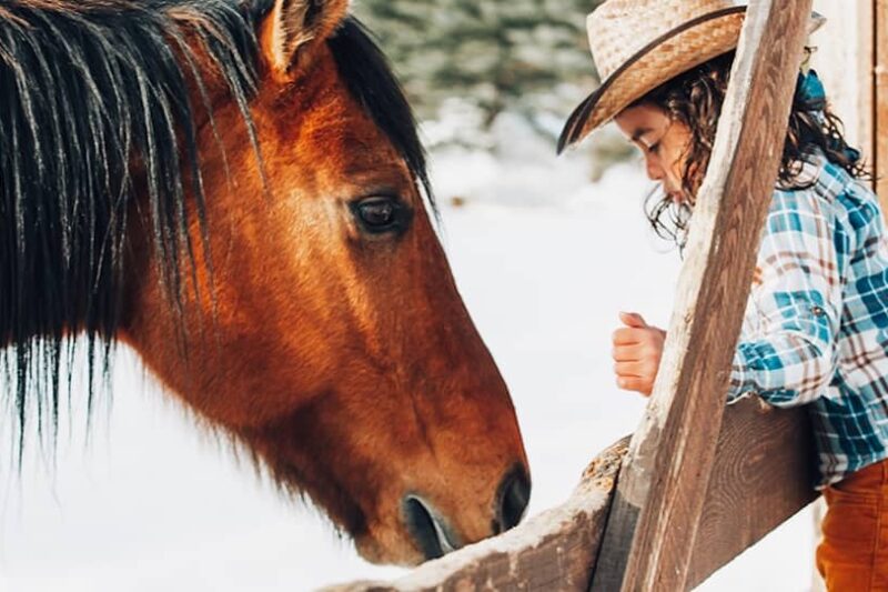 Vista Verde Ranch - Craig, Colorado (near Steamboat)